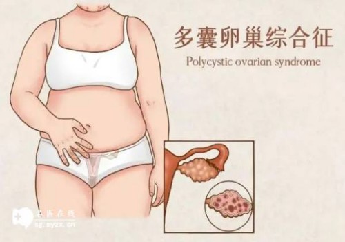 备孕期间吃黑豆好处多多！想生男孩一定要注意